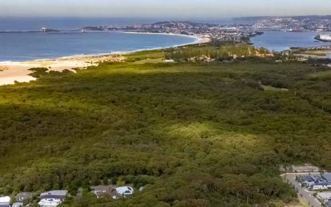Ask An Agent: Fern Bay