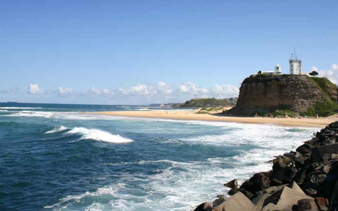 Local Insights Edition 15: City & Beaches