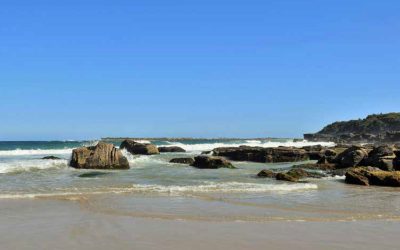 Local Insights Edition 15: Southern Lake Macquarie