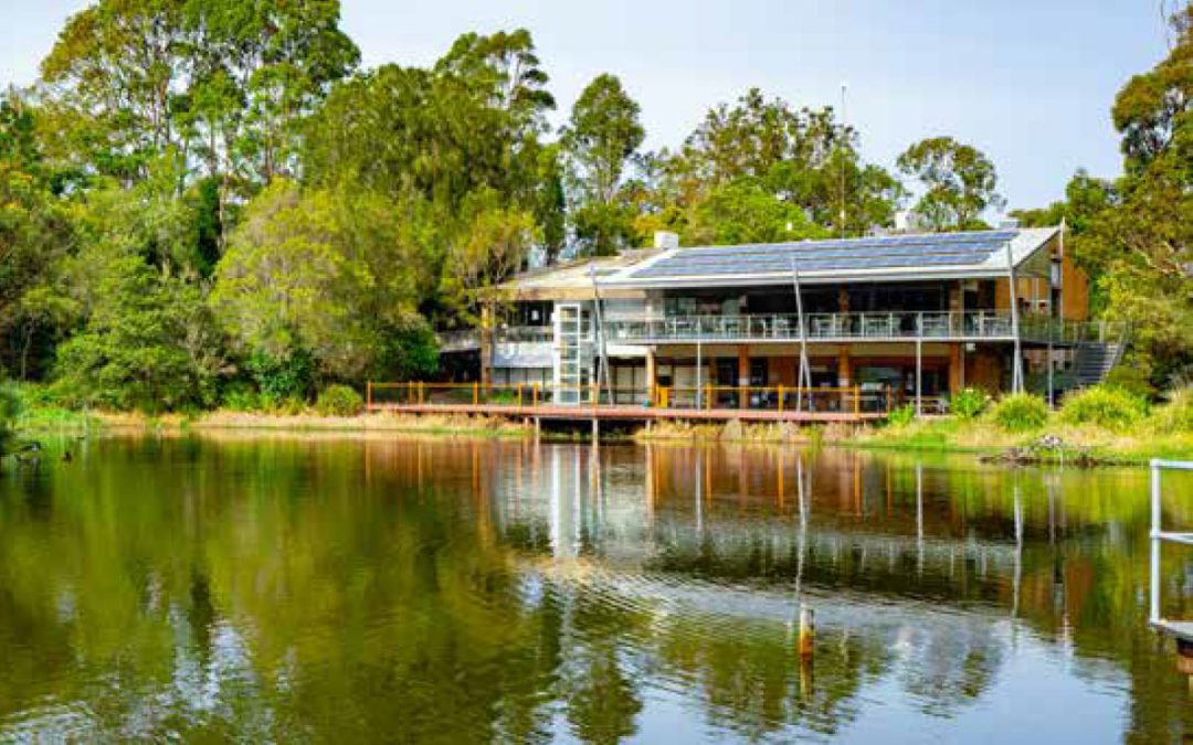 Local Insights Edition 15: Western Suburbs