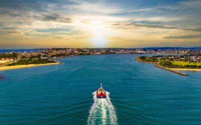 Local Insights Edition 16: City & Beaches
