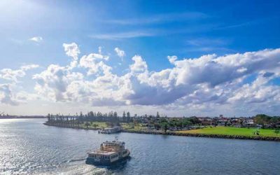 Local Insights Edition 16: Northern Suburbs