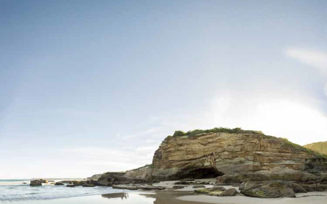 Local Insights Edition 16: Southern Lake Macquarie