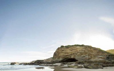 Local Insights Edition 16: Southern Lake Macquarie