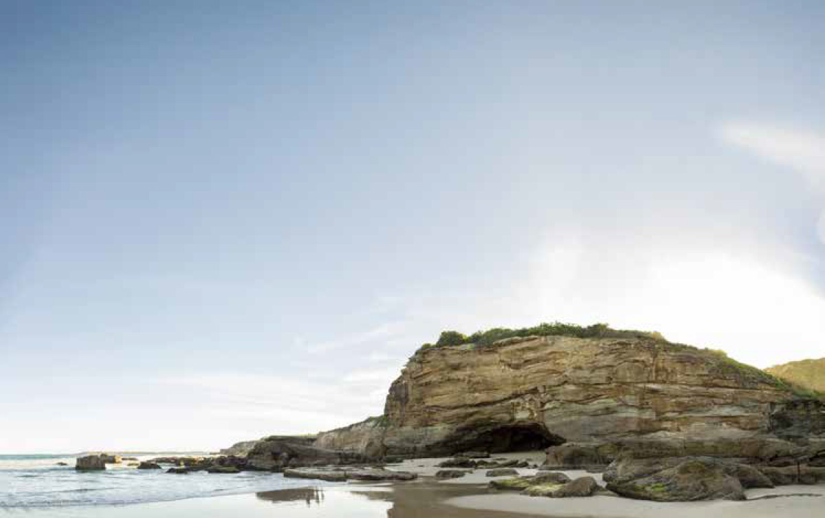 Local Insights Edition 16: Southern Lake Macquarie