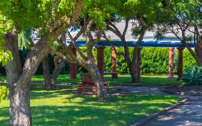 Local Insights Edition 16: Throsby Precinct