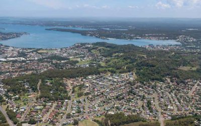 Local Insights Edition 16: Warners Bay/Lake Macquarie