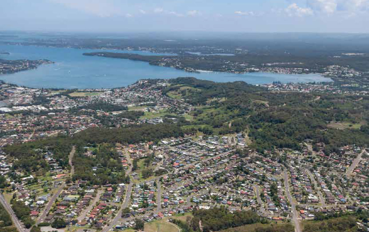 Local Insights Edition 16: Warners Bay/Lake Macquarie