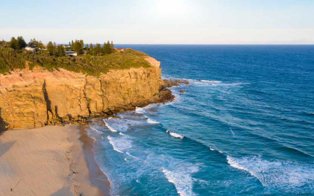 Local Insights Edition 17: Greater Charlestown