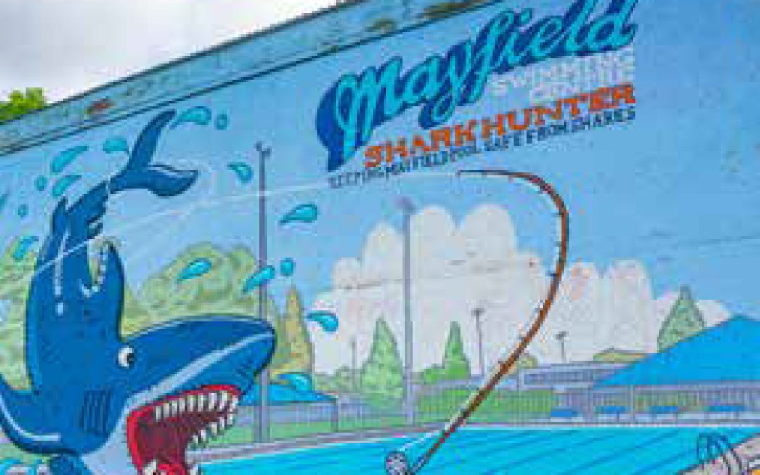 Local Insights Edition 17: Greater Mayfield