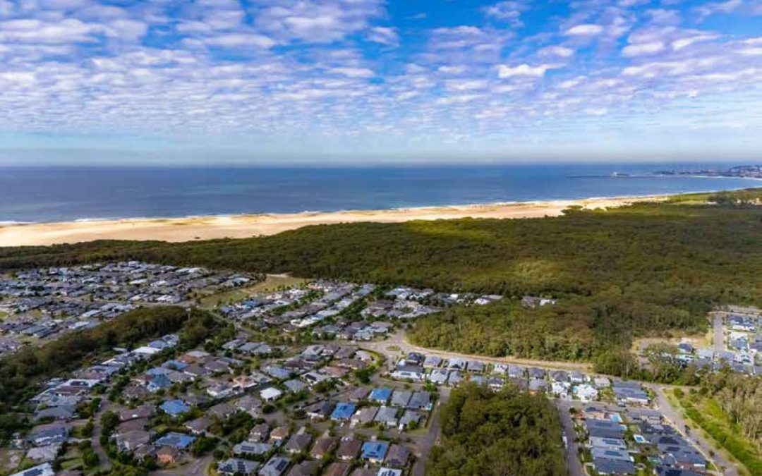 Local Insights Edition 17: Northern Suburbs