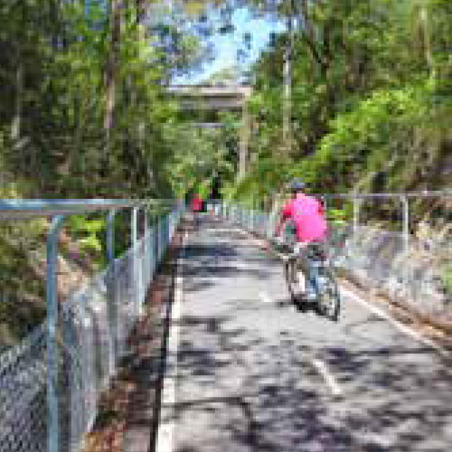 Local Insights Edition 17: Southern Lake Macquarie