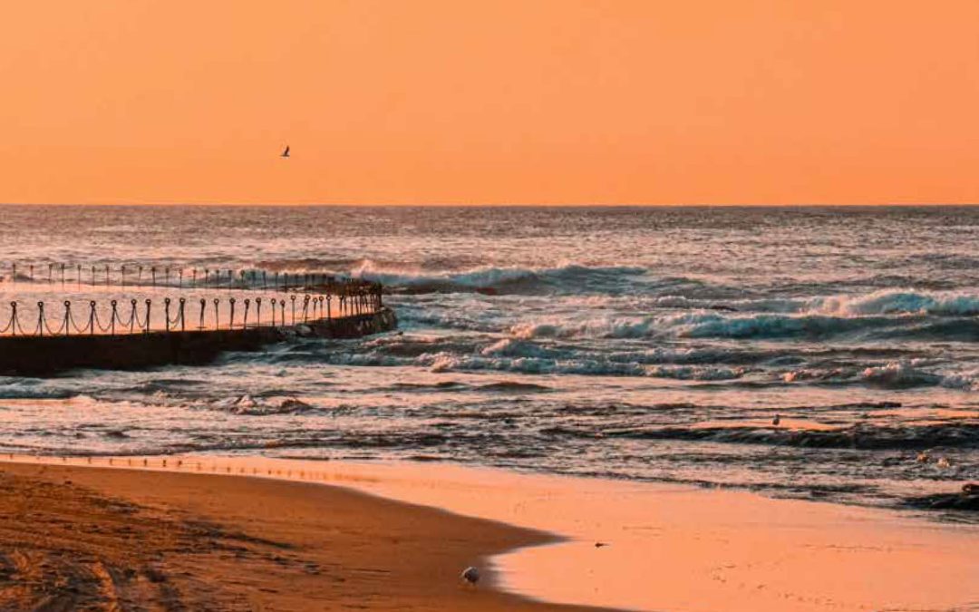 Local Insights Edition 18: City & Beaches