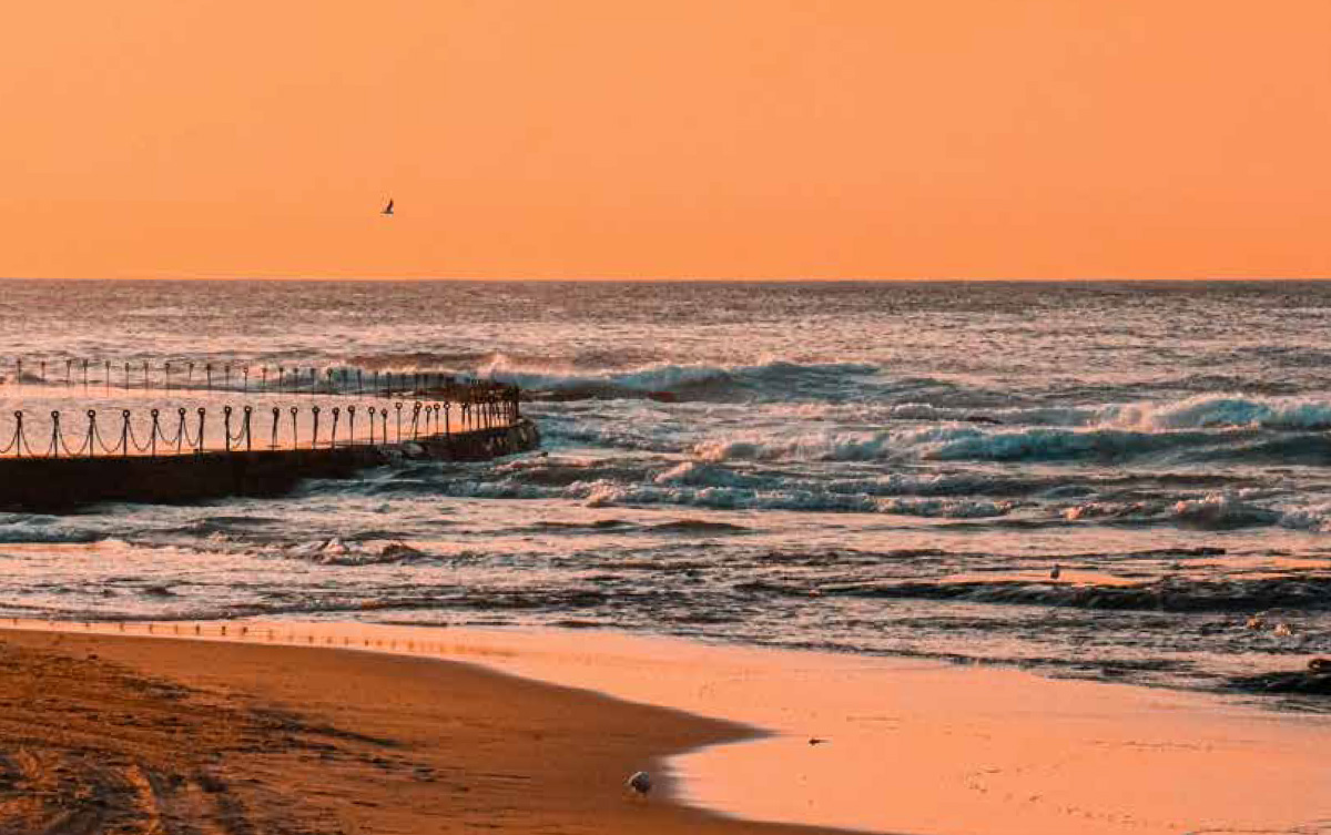 Local Insights Edition 17: City and Beaches