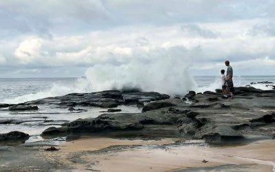 Local Insights Edition 18: Greater Charlestown