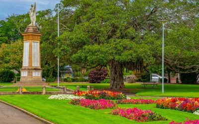 Local Insights Edition 18: Inner Suburbs