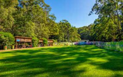 Local Insights Edition 18: New Lambton & Surrounds