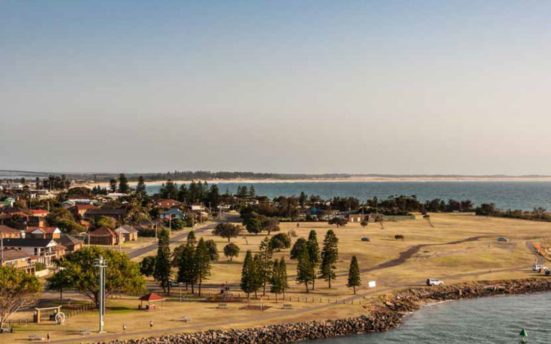 Local Insights Edition 18: Northern Suburbs