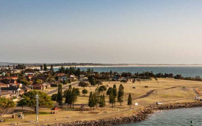 Local Insights Edition 18: Northern Suburbs