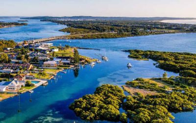 Local Insights Edition 18: Southern Lake Macquarie