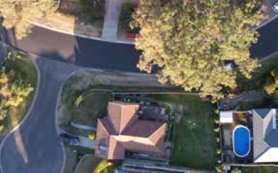 Local Insights Edition 18: Western Suburbs