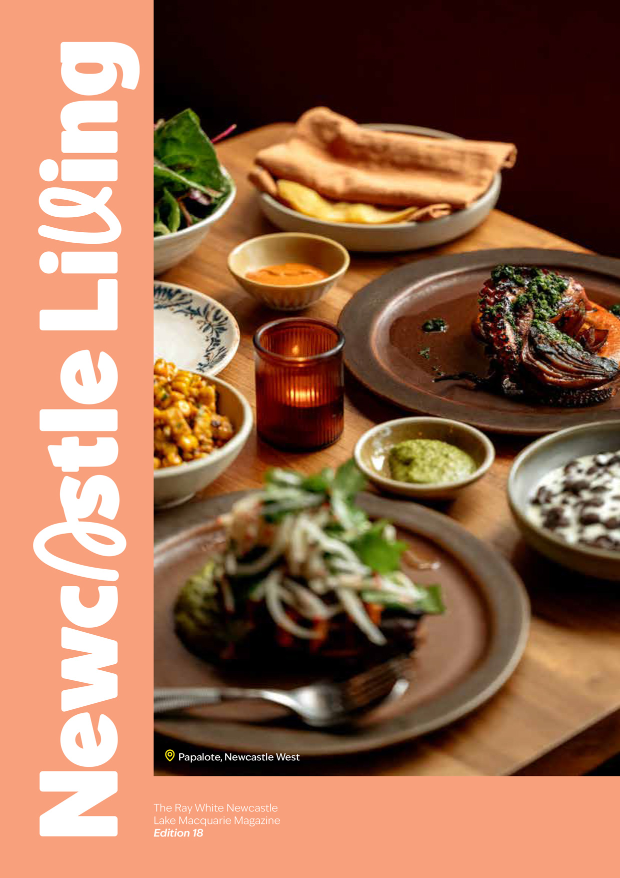Newcastle Living Edition 18