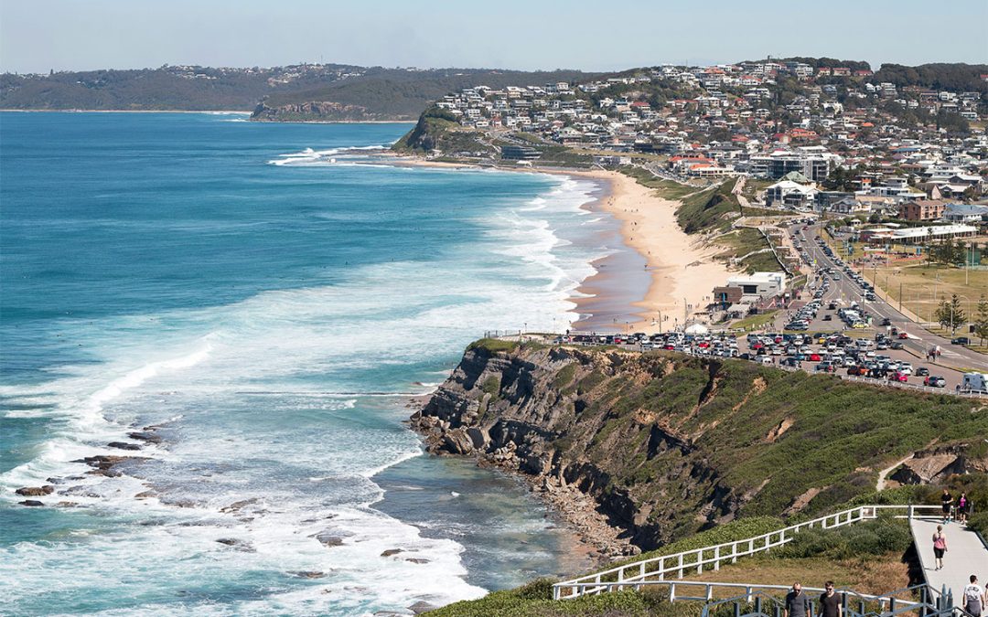 Local Insights Edition 19: City & Beaches