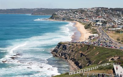 Local Insights Edition 19: City & Beaches