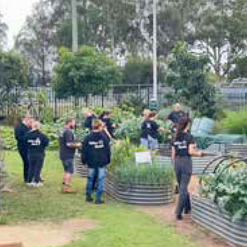 Local Insights Edition 19: Western City Fringe