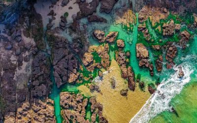 Local Insights Edition 20: Southern Lake Macquarie