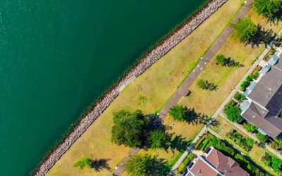 Local Insights Edition 20: Throsby Precinct