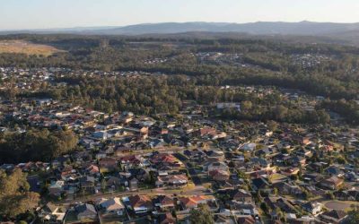 Local Insights Edition 20: Western Suburbs