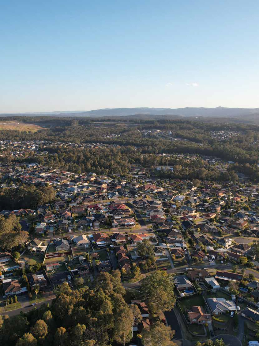Local Insights Edition 20: Western Suburbs